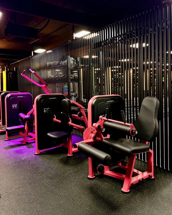 Macchina per leg curl US-U010 - UpForm