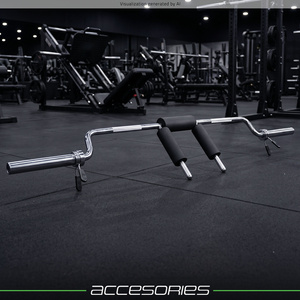 Bilanciere olimpico EZ per squat - UpForm