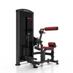 Macchina 2-in-1 per addominali ed estensioni per la schiena MP-U220 - Marbo Sport