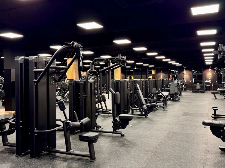 Dual Lat Pulldown UR-U018 - UpForm