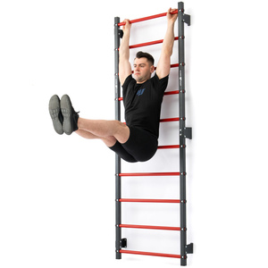 Spalliera ginnica in metallo 230 x 81 cm MH-U204 - Marbo Sport